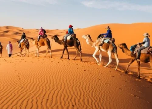 Best 3-day Marrakech Desert Tour