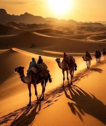 best Marrakech tour companies