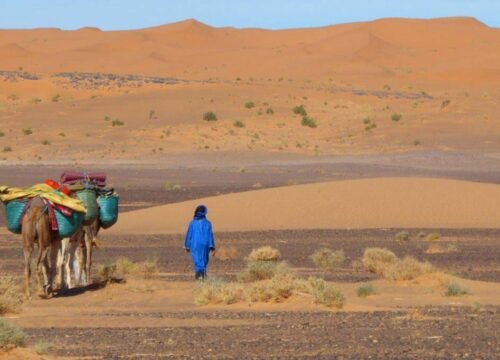 4-day Fes to Marrakech Desert Trip