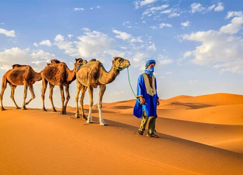 Merzouga Overnight Camel Ride