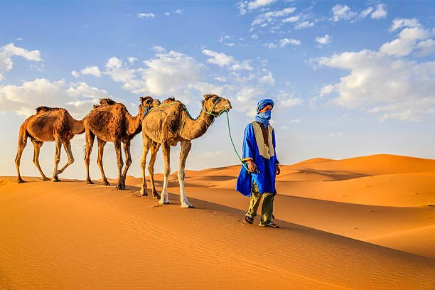 Merzouga Overnight Camel Ride