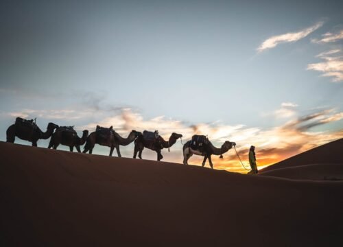 Morocco Temperature in March: Sahara Desert and Marrakech